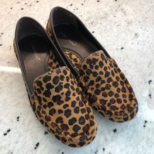 Eddie Bauer Driving Moc